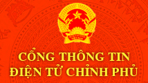 Cong thong tin dien tu Chinh phu